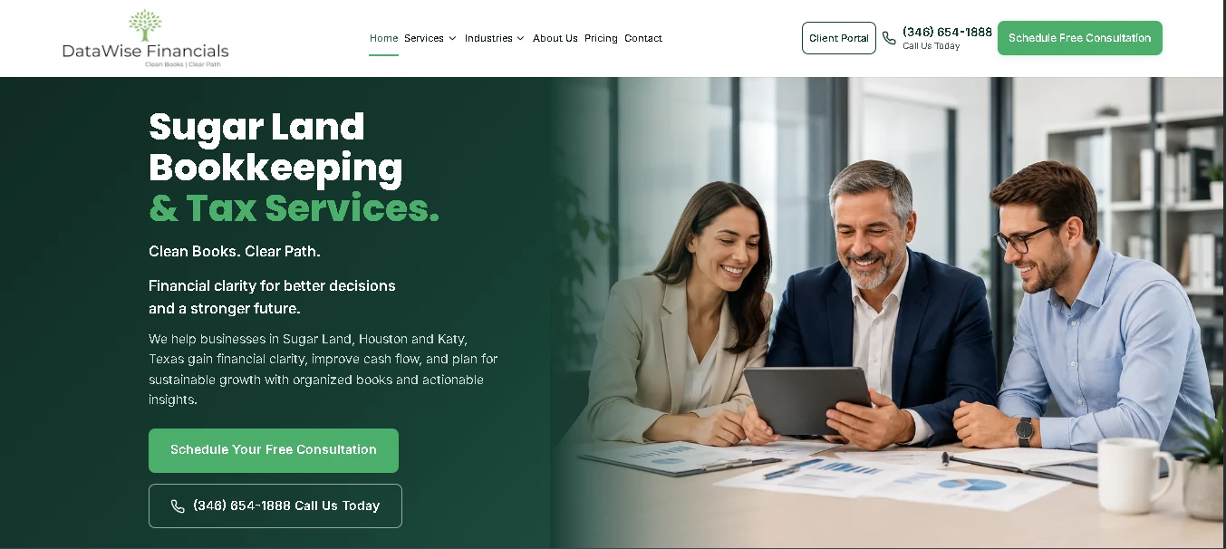 DataWise Financials website homepage on desktop